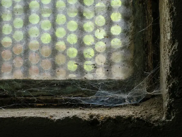 Spider web in the corner of an old window