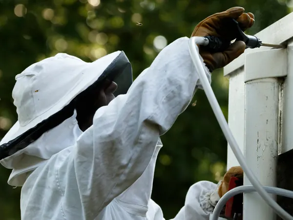 Technician in a protective suit treating a wasp nest